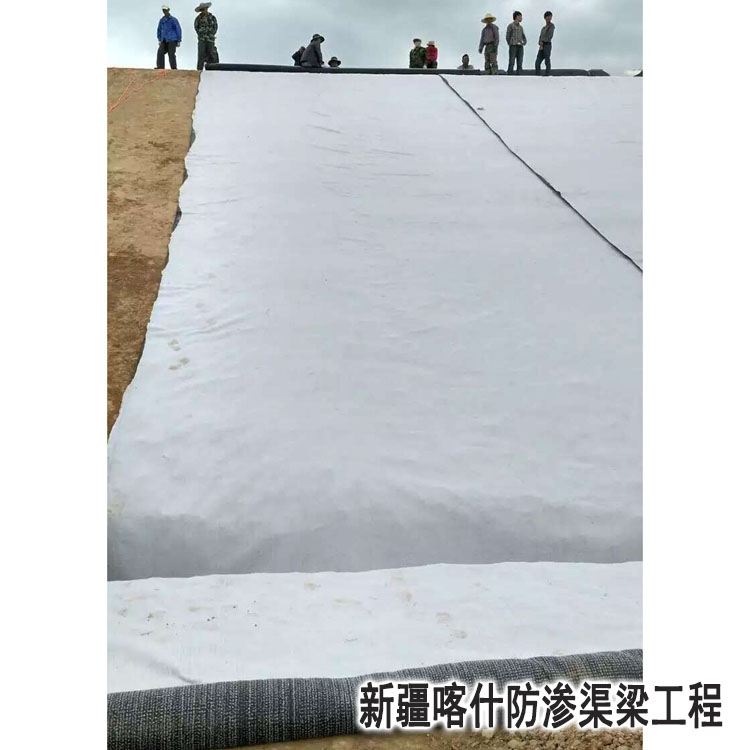 新疆(jiāng)喀什防滲渠(qu)梁工程